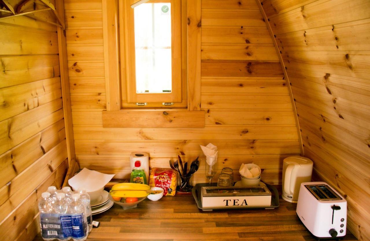 Log Cabin Kells  Buitenkant foto